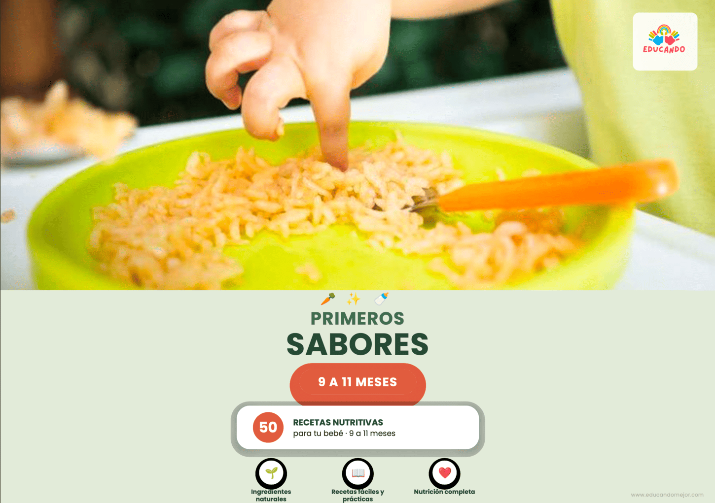 Primeros Sabores - Recetas de 9 a 11 meses